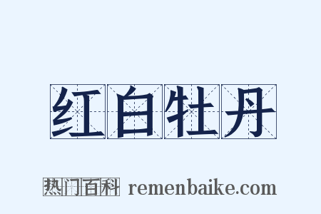 红白牡丹是什么意思的图片